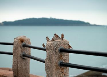 Make: NIKON CORPORATION
Model: NIKON Z 5
DateTimeOriginal: 2025:10:06 11:37:48
ISOSpeedRatings: 100
LensModel: NIKKOR Z 24-120mm f/4 S
ExposureTime: 0.005
FocalLength: 120.0
FNumber: 5.0
