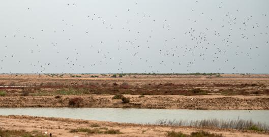 Make: NIKON CORPORATION
Model: NIKON Z 5
DateTimeOriginal: 2025:10:07 11:29:41
ISOSpeedRatings: 200
LensModel: NIKKOR Z 24-120mm f/4 S
ExposureTime: 0.000625
FocalLength: 120.0
FNumber: 4.0
