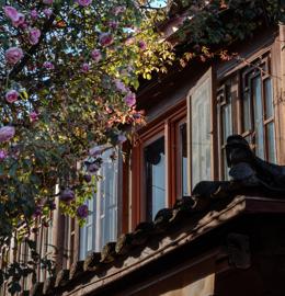 Make: NIKON CORPORATION
Model: NIKON Z 5
DateTimeOriginal: 2026:01:08 17:49:52
ISOSpeedRatings: 320
LensModel: NIKKOR Z 24-120mm f/4 S
ExposureTime: 0.004
FocalLength: 68.0
FNumber: 5.6
