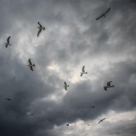 Make: NIKON CORPORATION
Model: NIKON Z 5
DateTimeOriginal: 2025:10:03 07:50:35
ISOSpeedRatings: 100
LensModel: NIKKOR Z 24-120mm f/4 S
ExposureTime: 0.0003125
FocalLength: 24.0
FNumber: 4.0
