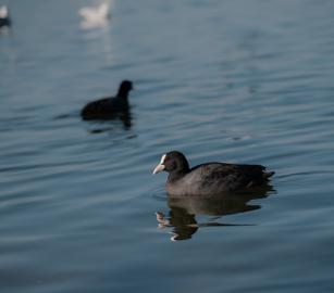 Make: NIKON CORPORATION
Model: NIKON Z 5
DateTimeOriginal: 2026:01:09 16:30:12
ISOSpeedRatings: 400
LensModel: NIKKOR Z 24-120mm f/4 S
ExposureTime: 0.00025
FocalLength: 120.0
FNumber: 4.0
