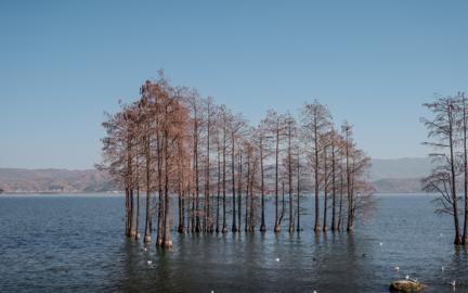 Make: NIKON CORPORATION
Model: NIKON Z 5
DateTimeOriginal: 2026:01:09 14:02:09
ISOSpeedRatings: 100
LensModel: NIKKOR Z 24-120mm f/4 S
ExposureTime: 0.0008
FocalLength: 47.0
FNumber: 4.0
